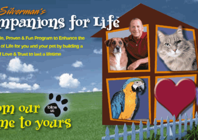Companions for Life-Home - Post Card design