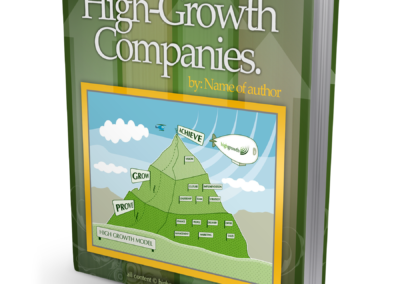 Secrets of High Growth - Book design