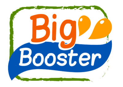 Big Booster - childrens immune supplements - logo design